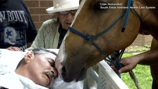 Un veteran de razboi a avut o singura dorinta inainte de a muri: sa-si ia ramas bun de la prietenii sai de suflet, caii Sugar si Ringo. Momentul revederii a fost coplesitor