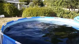 Un tanar a umplut o piscina de sase tone cu cola si a aruncat galeti cu Mentos inauntru. Nu-ti va veni sa crezi ce se intampla. Rezultatul e spectaculos