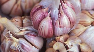 Patru trucuri cum sa cureti rapid cateii de usturoi