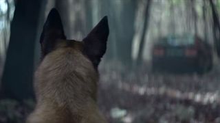 "El nu te va abandona niciodata. Nu il abandona nici tu". Un filmulet emotionant despre loialitatea unui caine a cucerit inimile tuturor