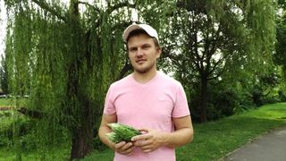 Un oradean a dat lovitura pe piata agricola cu "insulina verde". Un kilogram se vinde si cu 50 de lei