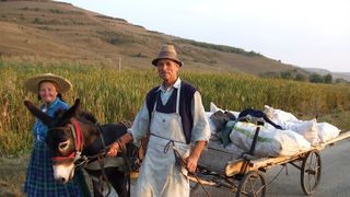 Totoiana, limba inventata pe ulita. Multi romani continua sa o foloseasca, desi, la primul contact, nimeni nu intelege nimic - Afla-i toate secretele si istoria