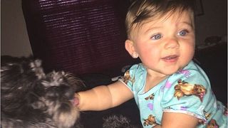 O fetita de numai 8 luni a fost salvata dintr-un incendiu de cainele familiei. Animalul s-a asezat deasupra ei si a refuzat sa se miste, desi flacarile l-au nimicit. Povestea emotionanta a lui Polo