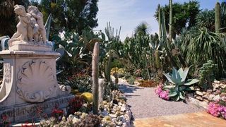 Sursa foto: dailymail.co.uk