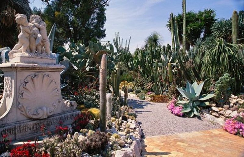 Sursa foto: dailymail.co.uk