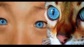 Copilul care pare de pe alta Planeta. Ochii lui sunt specifici unei noi rase umane