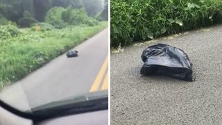 Se grabea la serviciu cand vazut pe drum o punga de gunoi care se misca! Tanara a deschis punga si a avut parte de un soc. Ce a gasit inauntru e sfasietor