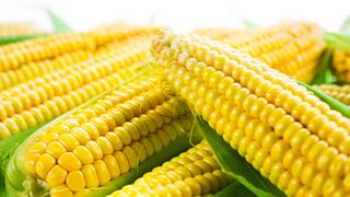 Porumbul este sanatos? Medicii nutritionisti ne spun cum si cand sa il consumam