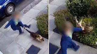 De obicei, copiii si animalele sunt buni prieteni. Nu este insa si cazul acestui baietel de 5 ani, care a fost surprins de camerele de supraveghere torturand o pisica