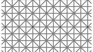 Fotografia care a bulversat internetul! O iluzie optica a devenit virala pe internet. Tu cate puncte negre vezi?