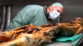 Cea mai veche mumie din Europa, ii uimeste pe cercetatori. "Otzi", care a murit in urma cu 5.300 de ani, avea intoleranta la lactoza si predispozitie catre bolile cardiovasculare