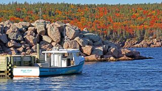 Locul in care primesti un loc de munca si teren gratuit! Ce trebuie sa faci pentru a avea parte de toate acestea