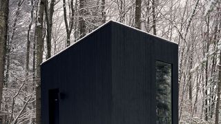 O companie din SUA a construit o "camera secreta" intr-o padure. E locul perfect pentru cei care vor sa evadeze din cotidian. Ce se intampla aici