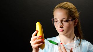 Cum sa depistam alimentele modificate genetic. Codurile PLU arata daca un produs este ecologic sau modificat genetic