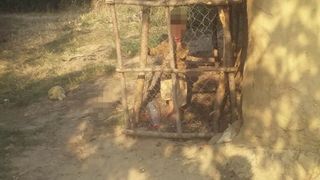 Viceprimarul comunei Poienesti spune despre copilul de 2 ani inchis intr-o cusca pentru animale ca "a fost imobilizat un pic", timp in care tatal sau era la camp