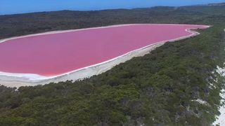 Lacurile roz, ciudateniile naturii care atrag mii de turisti cu aceasta culoare superba. Sunt doar doua in toata lumea