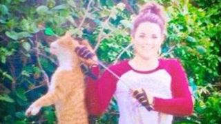 Socant: Un medic veterinar a ucis o pisica cu o sageata, apoi "s-a laudat cu trofeul" pe Facebook