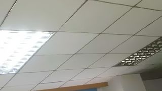 Sursa foto: boredpanda.com