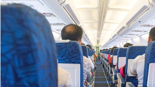 Un barbat a fost arestat dupa ce a agresat sexual o adolescenta in avion. Sotia sa a stat langa el in timpul zborului: "Am incredere totala in el!"