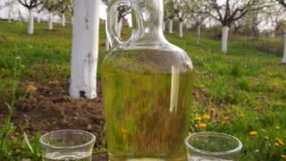 "Tuica cu margele de Salva", un brand de 100 de ani. Livezile nu sunt stropite si totul este 100% natural