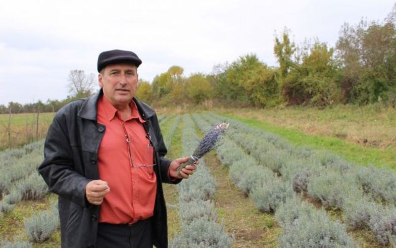 Grigore Craioveanu. Sursa foto: adevarul.ro