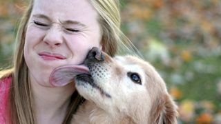 Motivul pentru care nu ar trebui sa iti lasi cainele sa te linga pe fata! Poti avea probleme grave de sanatate