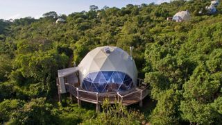 Cele mai spectaculoase casute din copac! Ai intreaga natura la picioare. Cat trebuie sa platesti pentru o noapte intr-un astfel de loc. Imagini spectaculoase