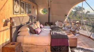 Sursa foto: metro.co.uk