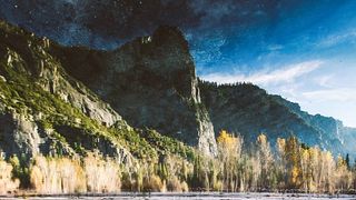 Fotografia care a bulversat internetul! Tu iti poti da seama ce e in aceasta imagine?