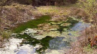 Misteriosul lac de langa Capitala! Ce s-a intamplat acolo in noaptea de Sf. Andrei