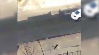 VIDEO: O tanara de 19 ani si-a aruncat intentionat pisica de la etajul trei al unui bloc. Intreaga scena a fost filmata