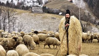 O fotografie cu un cioban din Transilvania, nominalizata la Sony World Photography Awards, cel mai mare concurs de fotografie din lume