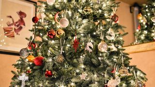 Trucuri sa alegi un brad de Craciun perfect si care sa reziste mai mult timp