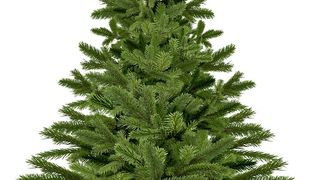 Vrei sa te bucuri de un brad verde pana dupa Boboteaza? Incearca urmatoarele trucuri