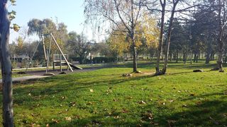 Baietel de doi ani, gasit singur in parc. El era dezbarcat si inconjurat de o haita de caini