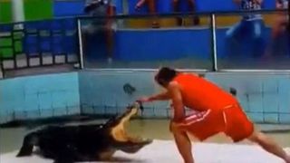 S-a asezat in fata unui crocodil de trei metri si a bagat mana in gura lui. Apoi, ceva neasteptat s-a intamplat