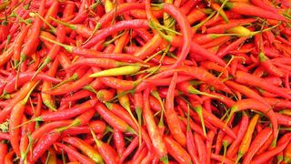 Ardeiul iute iti prelungeste viata cu zece ani, arata un nou studiu. Previne atacul de cord si comotiile cerebrale