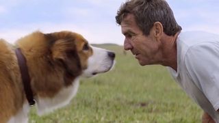 Echipa de productie a filmului "A Dog's Purpose" a fost acuzata de cruzime impotriva unui caine. Scenaristul productiei raspunde acuzatiilor