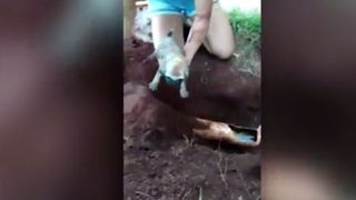 Un catelus a ramas blocat 6 ore intr-o conducta de apa. A fost salvat de politisti dupa ce au gaurit teava