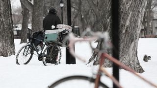 O pensionara s-a casatorit cu un om al strazii pe care l-a cunoscut in urma cu 40 de ani cautand prin gunoaie