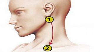 Sursa foto:healthylifetricks.com