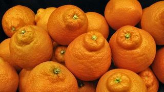 Ce sunt, de fapt, mineolele din supermarketurile romanesti. La ce trebuie sa fii atent cand le cumperi