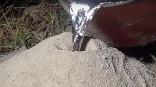 Un barbat a turnat aluminiu topit intr-un musuroi de furnici! Ce a iesit este de-a dreptul spectaculos