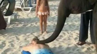 Elefantii, maseurii care te scapa de stres. Curajosii care s-au lasat masati de ei s-au declarat fascinati