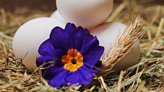 Traditii si obiceiuri in Saptamana Alba. Ce sa nu faci sub nicio forma in saptamana dinaintea postului Pastelui