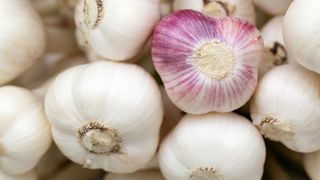 Cumperi usturoi din China? Ai mare grija fiindca este toxic - Cum il recunosti