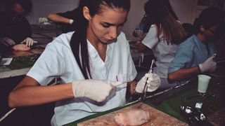 Raluca, fiica lui supranumita "Printesa Gorj-ului" e studenta la Medicina