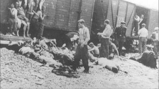 Cum aratau "trenurile mortii"! In aceste convoaie au murit sute de mii de evrei!