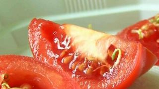 A vrut sa isi faca o salata, dar a avut parte de un soc. Doi buzoieni au impietrit cand au taiat cateva rosii - "Am crezut ca sunt viermi"