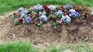 Baietel nou-nascut, ingropat de viu de propria mama. Tanara mama le-a ascuns parintilor ca este insarcinata